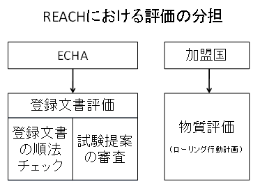 REACHにおける評価の分担