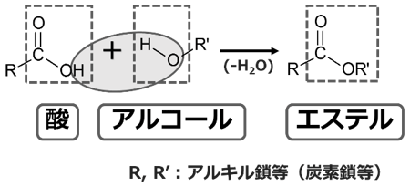 図1　可塑剤は酸とアルコールから得られるエステル化合物